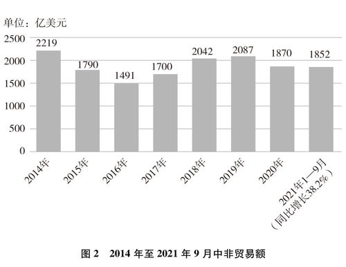 新時(shí)代中非合作 社會(huì)經(jīng)濟(jì)咨詢(xún)服務(wù)的橋梁與引擎