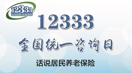 12333全國統(tǒng)一咨詢?nèi)?詳解淄博市居民養(yǎng)老保險(xiǎn)，社會(huì)經(jīng)濟(jì)咨詢服務(wù)在身邊
